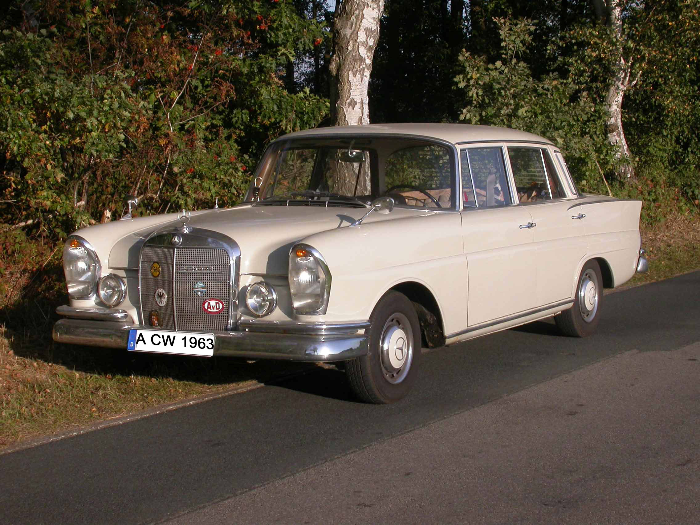 Web-ACW--Mercedes-220S